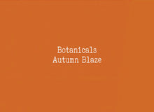 Load image into Gallery viewer, Rectangular Acrylic Sheets - Botanical & Mirror Colors