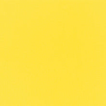 Load image into Gallery viewer, Cricut Cardstock Sampler – Pack of 12 Primary Colours – 30.5 x 61 cm Sheets