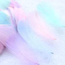 Load image into Gallery viewer, Pastel Ombre Feathers – Soft Craft Feathers in Gradient Tones