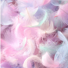 Load image into Gallery viewer, Pastel Ombre Feathers – Soft Craft Feathers in Gradient Tones