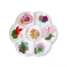 Load image into Gallery viewer, Pressed Flowers Set – 7 Assorted Dried Floral Combinations for Resin, Crafts & Journaling