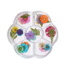 Load image into Gallery viewer, Pressed Flowers Set – 7 Assorted Dried Floral Combinations for Resin, Crafts & Journaling