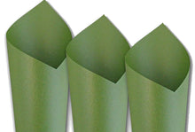 Load image into Gallery viewer, Premium Metallic Cardstock – Pack of 10 for Elegant Crafting & Invitations in 21 Colors