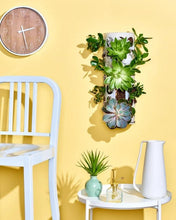 Load image into Gallery viewer, Frosted Plastic Vinyl Storage Rack – Organiser for Craft Rolls & Workspaces