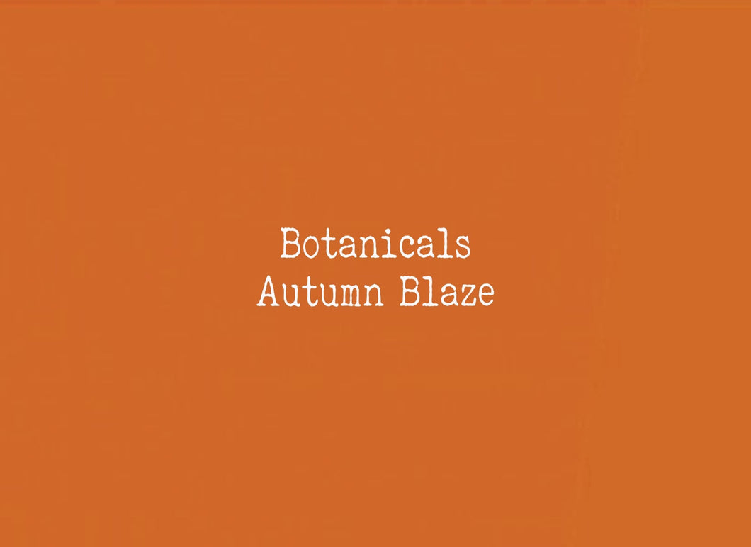 Rectangular Acrylic Sheets - Botanical & Mirror Colors