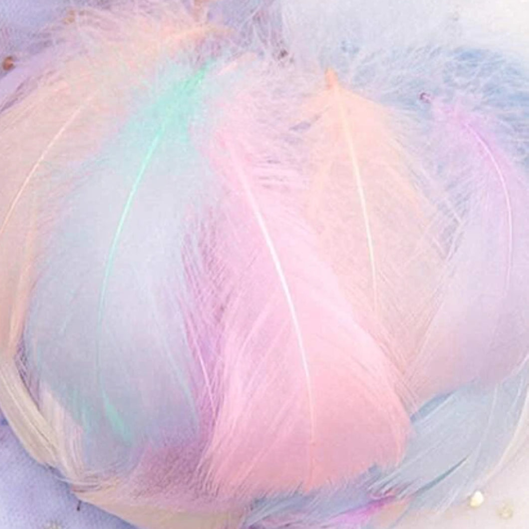 Pastel Ombre Feathers
