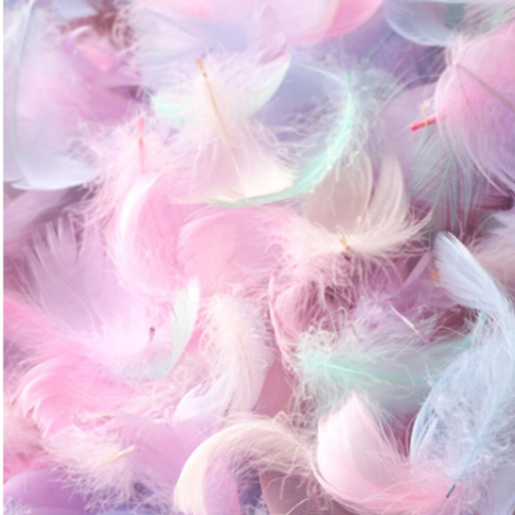 Pastel Ombre Feathers – Soft Craft Feathers in Gradient Tones